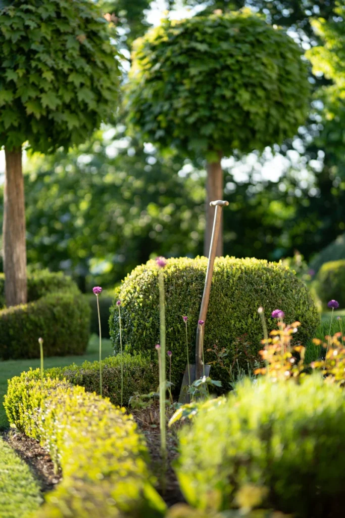 A tree in a well kept garden